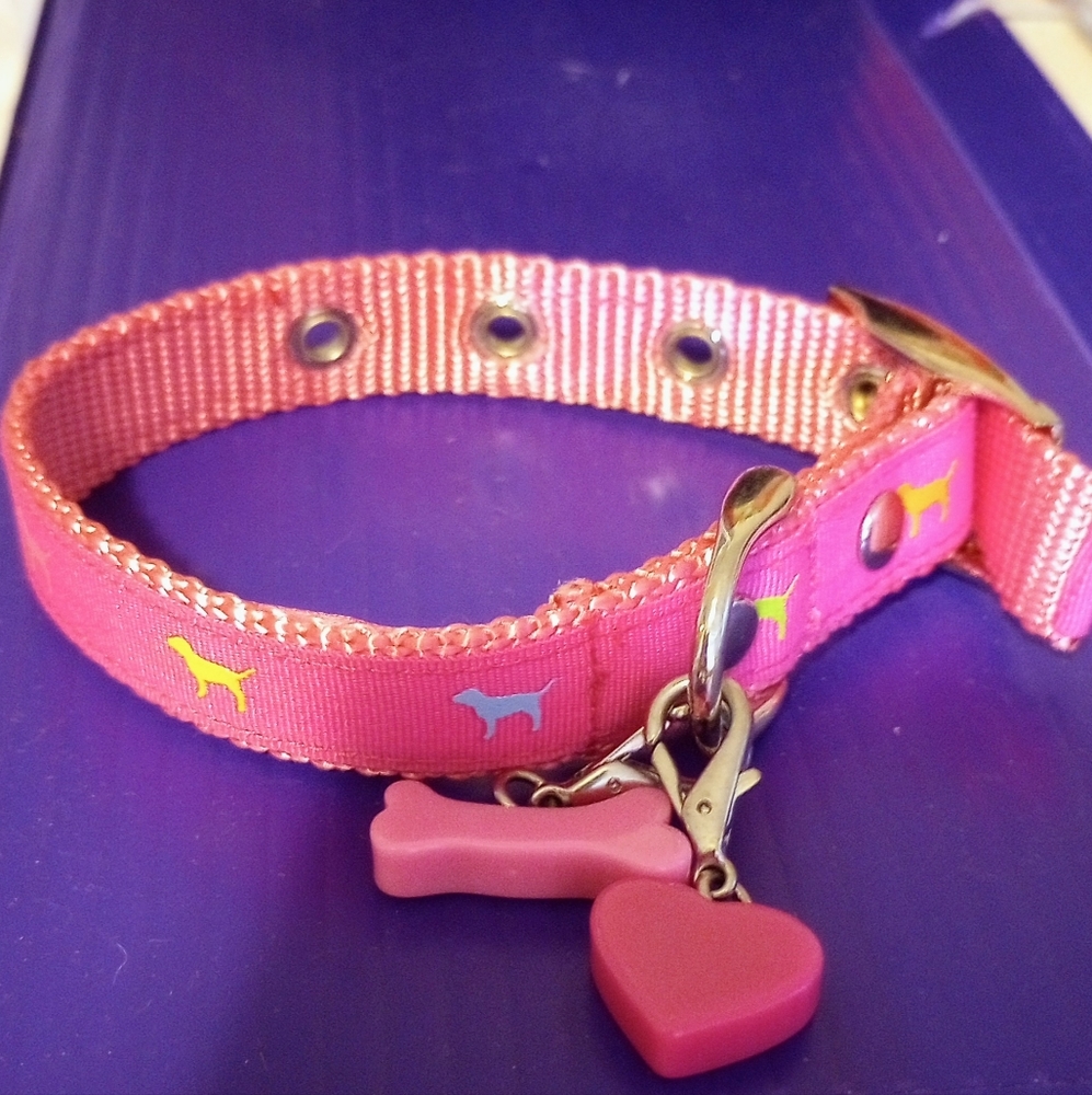 Rare s vs pink dog collar